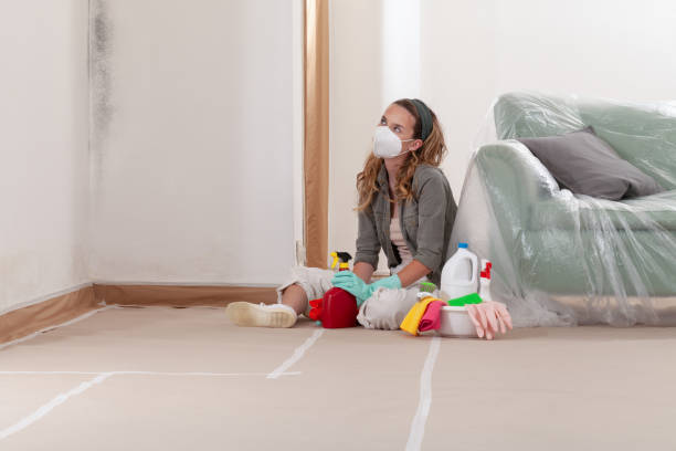 Reliable Mold Cleanup contractor in Westport, PA by Cheap Mold Removal